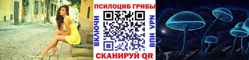 Купить закладки  Чулым  Псилоцибиновые грибы GOLDEN TEACHER 